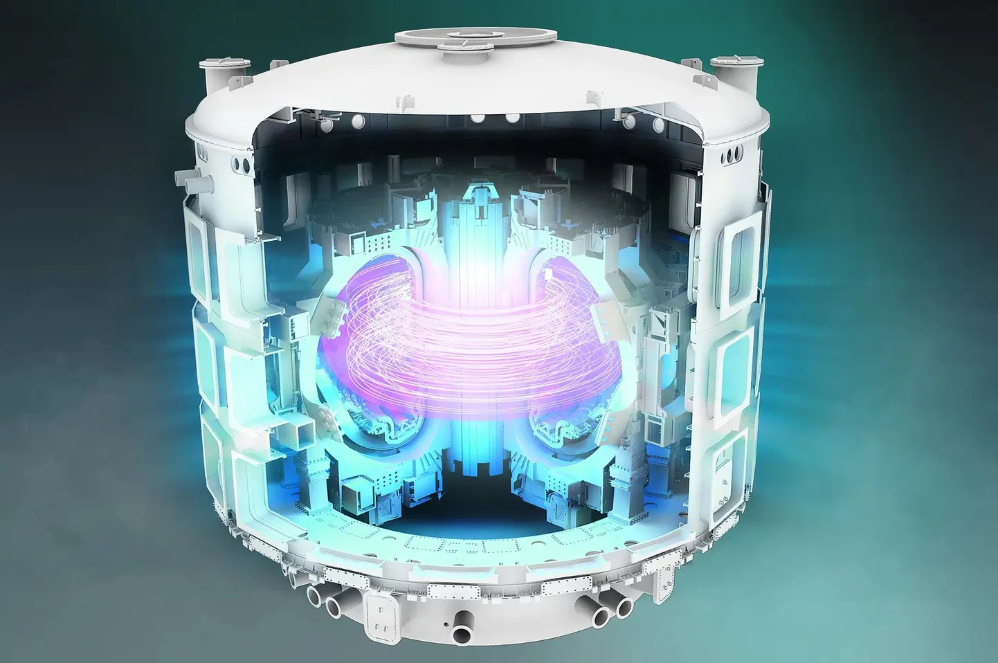 Väljalõige tokamak-reaktorist.