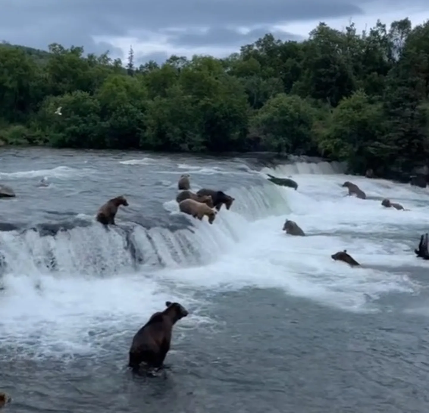 Kuvatõmmis