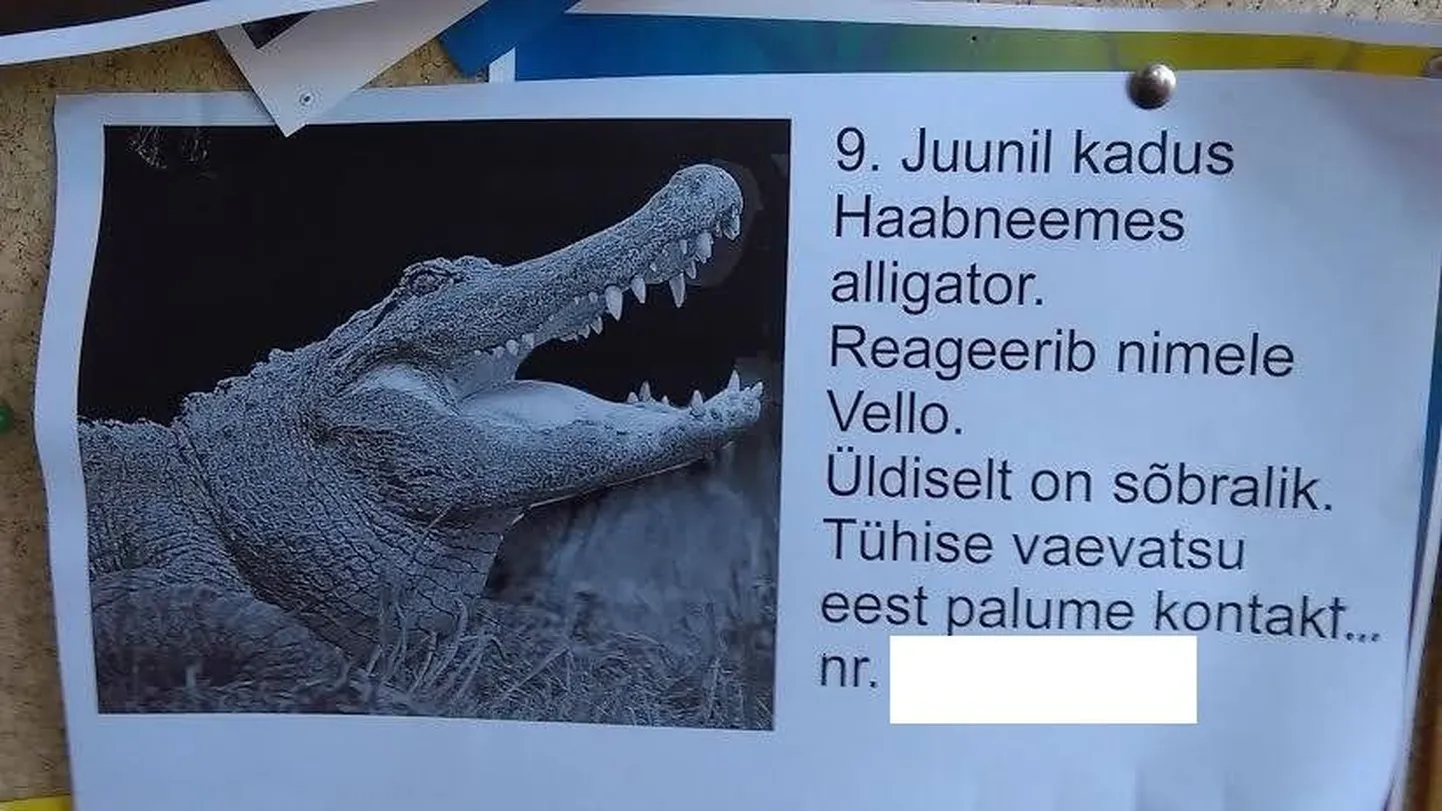 Kuulutus