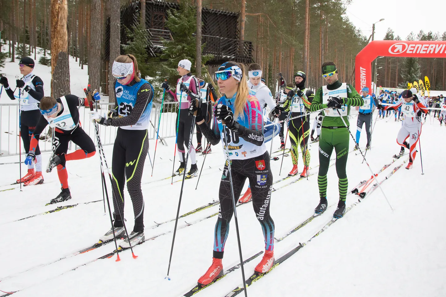 Kui mullu oli Pannjärvel veebruaris lund maratoni korraldamiseks piisavalt, siis sel aastal pole seda üldse.