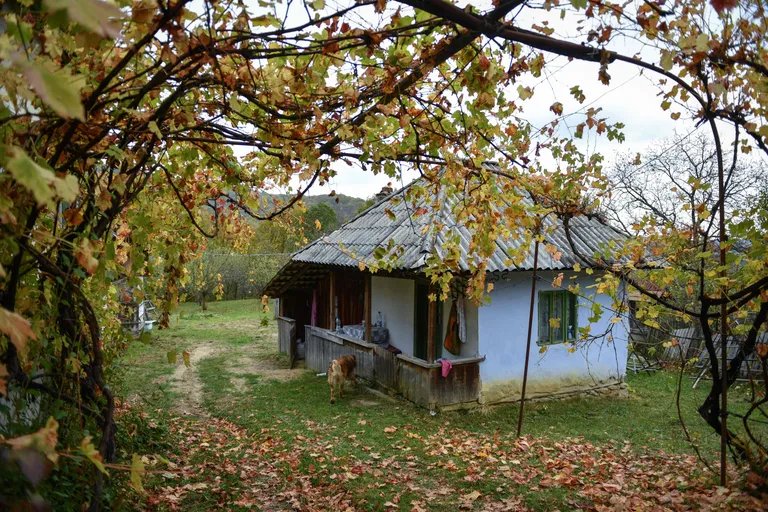 Mahajäetud maja Paraiesti külas Rumeenias. Suur osa asula elanikest on kolinud välismaale tööle.