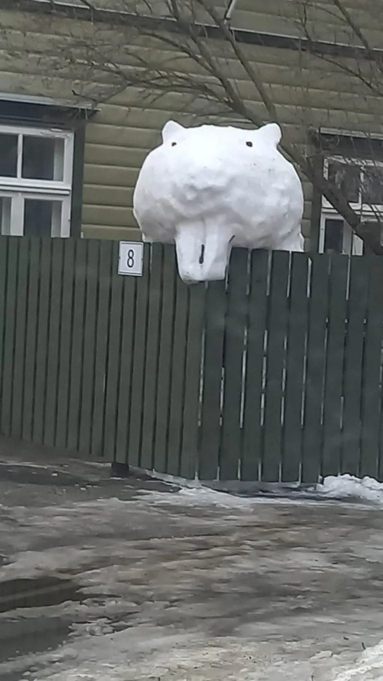Гигантское животное, сделанное из снега.