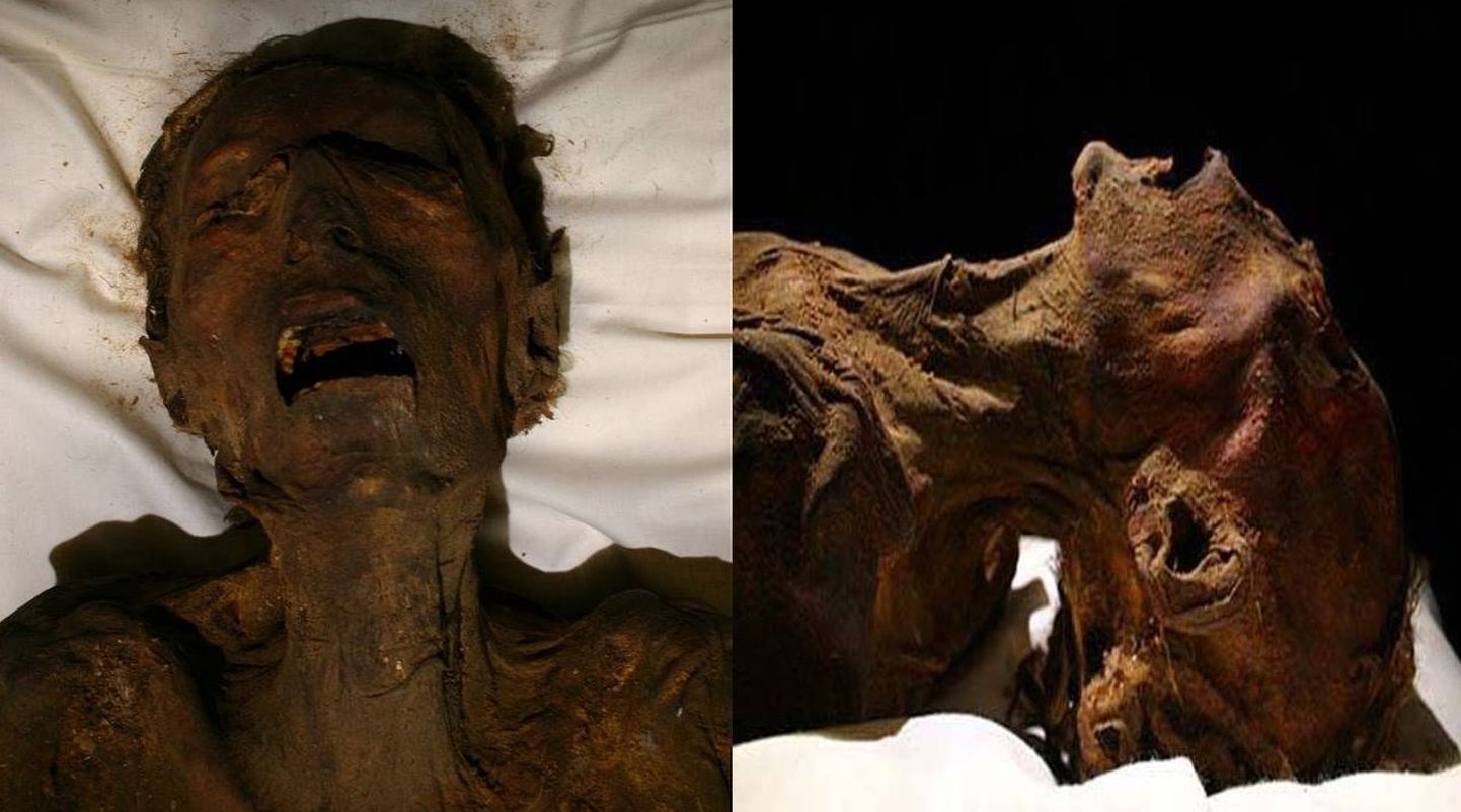 «Karjuv muumia», kes DNA-testi järgi on vaarao Ramses III poeg
