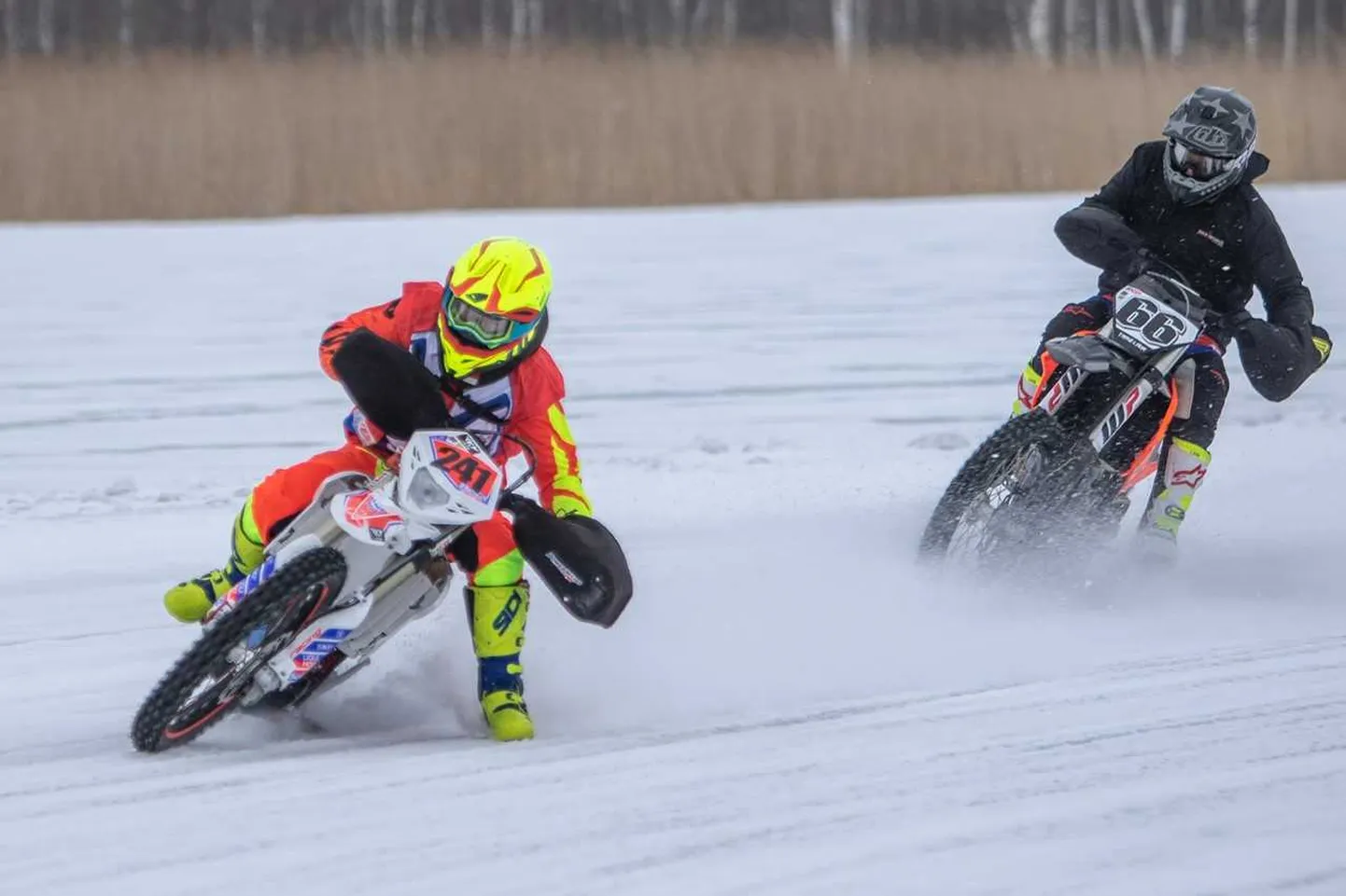 Andre Park (241) ja Taavi Laur (66).
