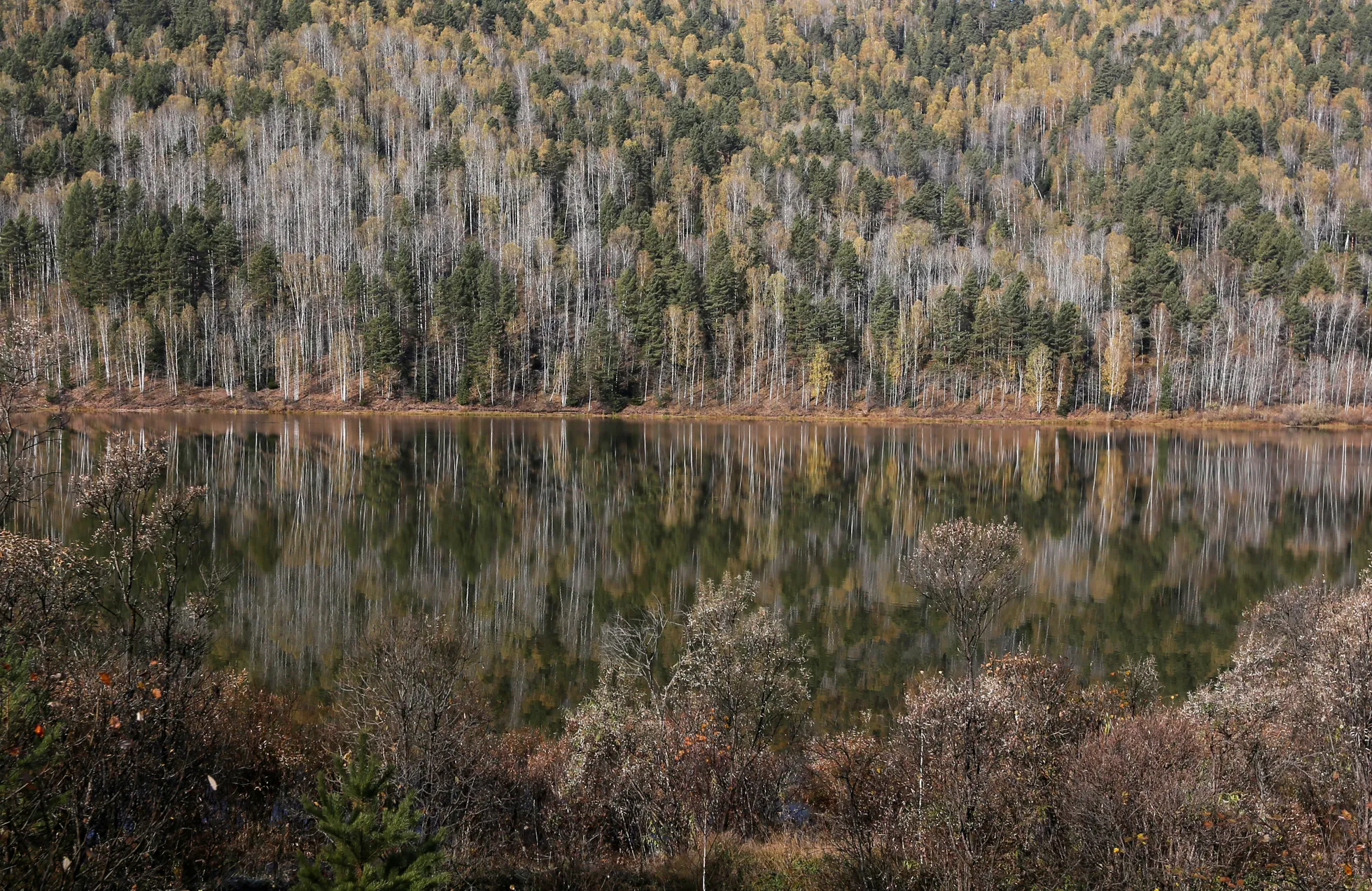 Siberi taiga Krasnojarski piirkonnas