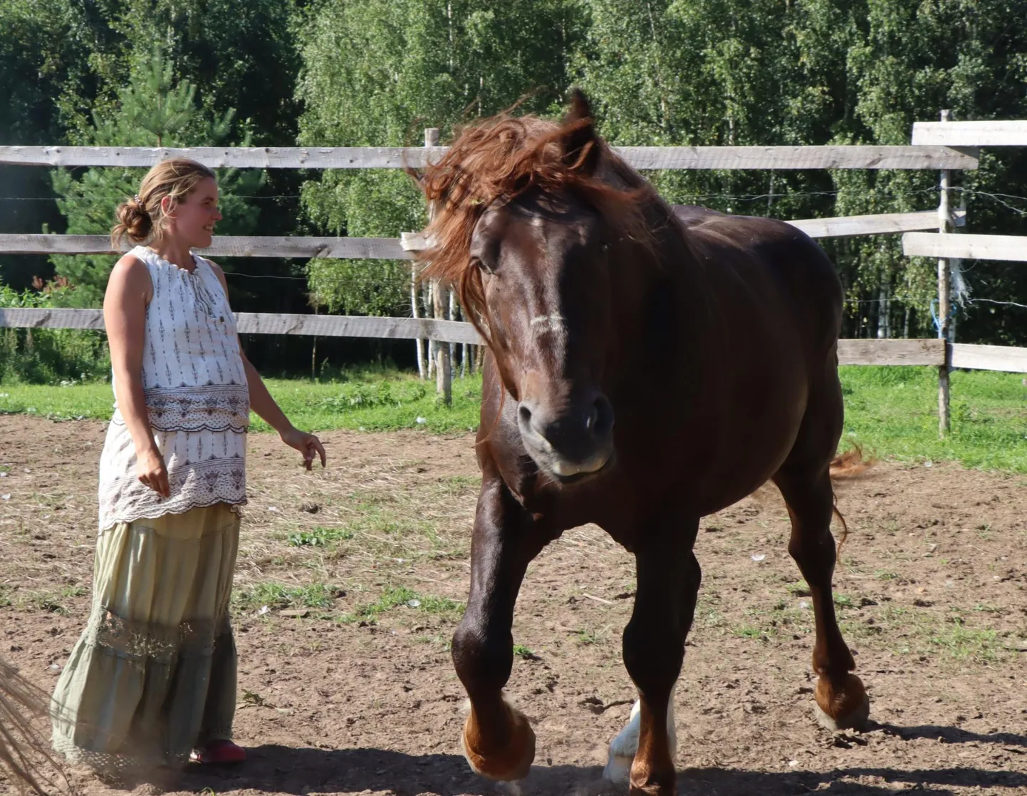Triinu-Liis Elissaar ja tema Eesti raskeveohobune Effu, kelle pere ostis marjade korjamisest teenitud raha eest.
2 × KRISTINA TRAKS