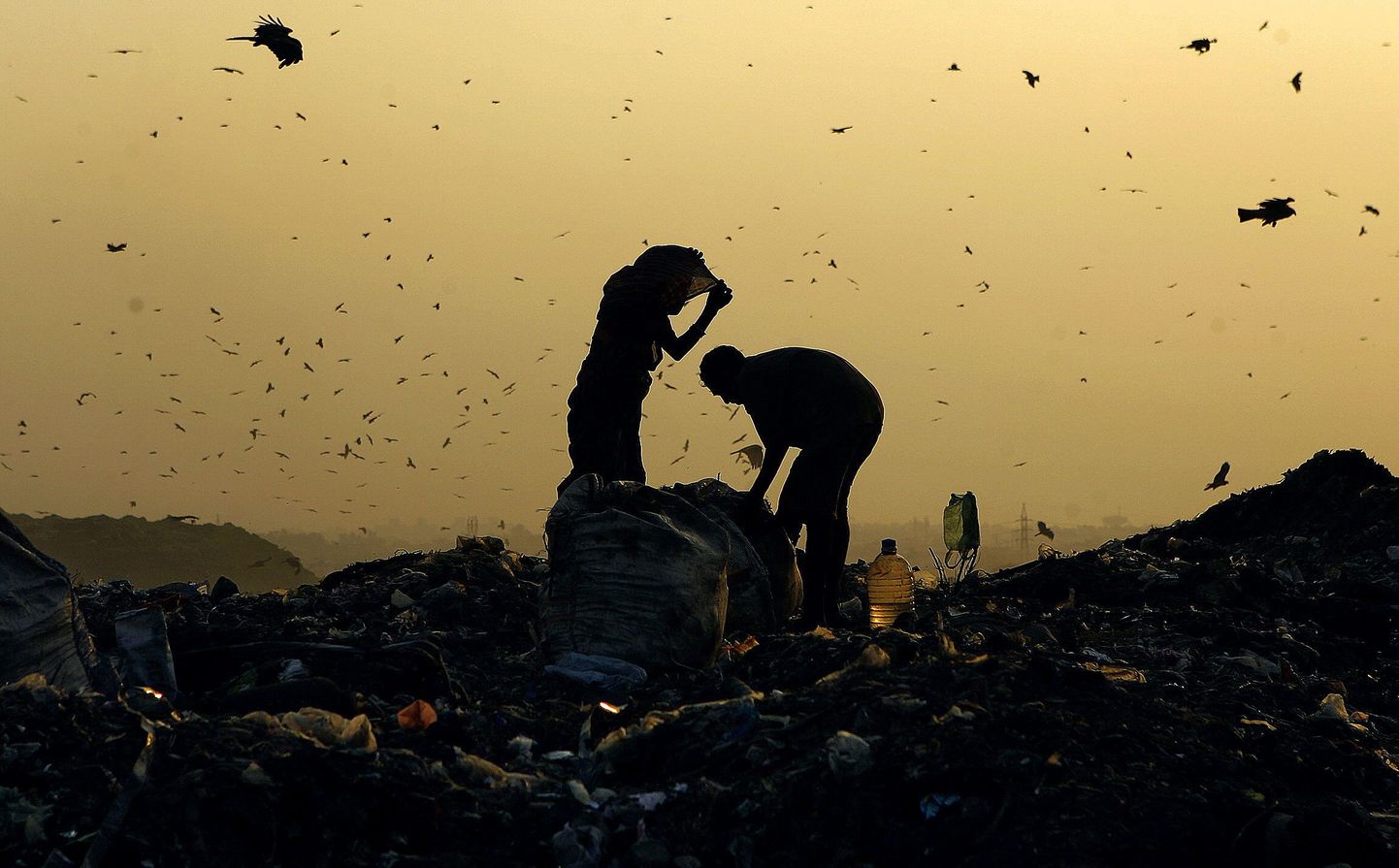New Delhi prügimägedel otsitakse metalli ning plastikut, mis müüakse edasi ümbertöötlusse.