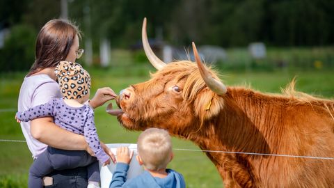 Järvamaa tõusis uuele tasemele