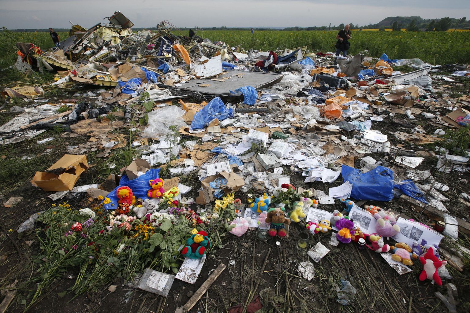 Lilled Malaysian Airlines lennu MH17 hukkumiskohal.