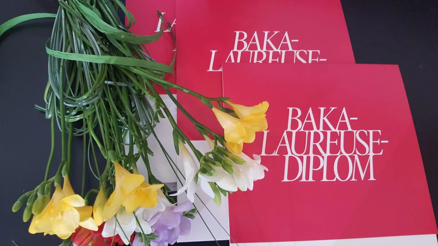 Tallinna Ülikooli bakalaureusediplomid.