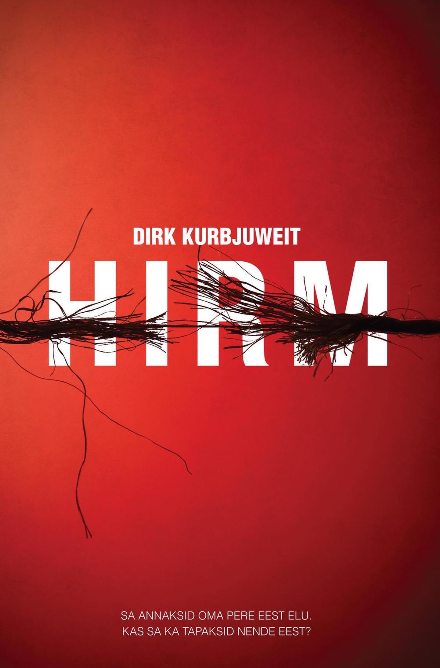 Dirk Kurbjuweit, «Hirm».