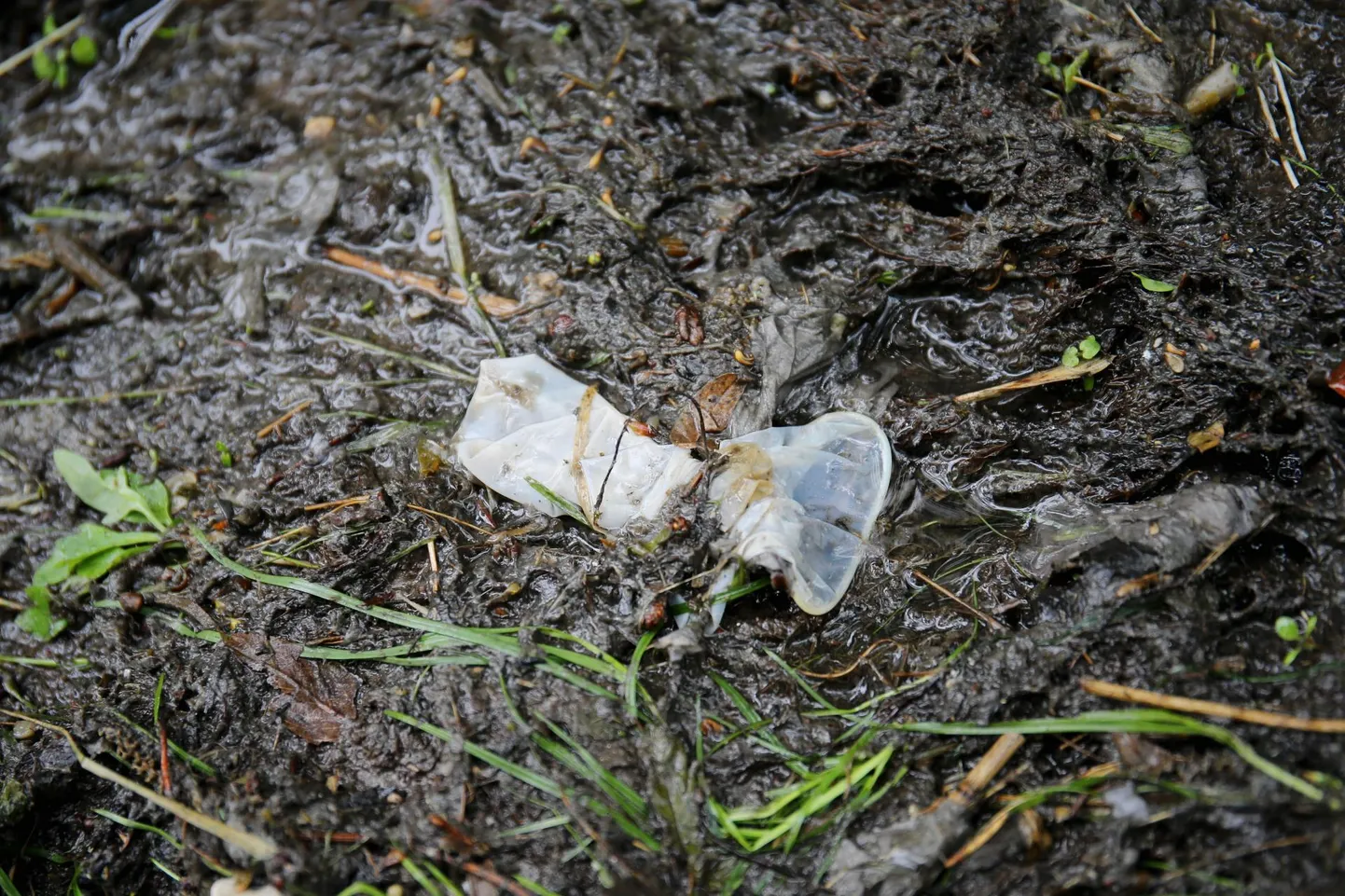 Mullu juunis suurte vihmade ajal oli Ujula tänaval sama mure. Siis voolas jõkke solk koos kondoomide, tampoonide ja muu kraamiga, mis tualetipotist alla lastud.