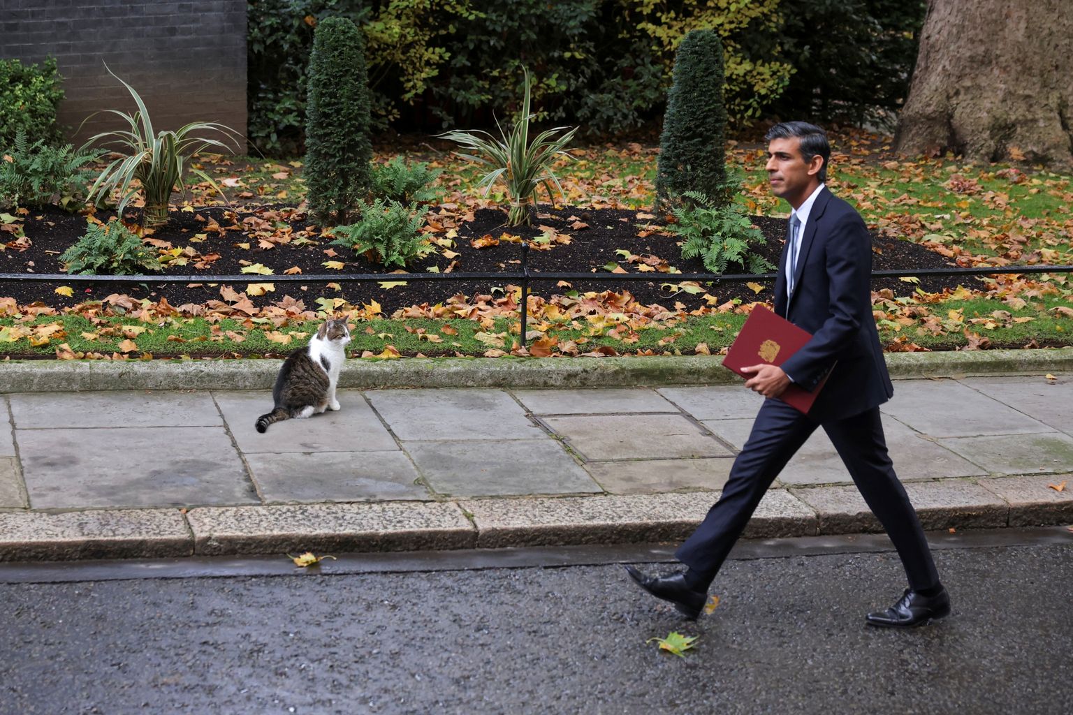 Briti uus peaminister Rishi Sunak kõnnib Larryst mööda.
