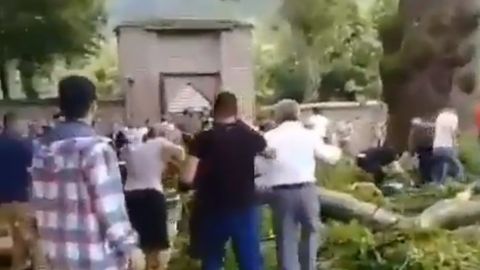Видео: в Азербайджане на туристов упала ветка 500-летнего дерева, 19 пострадавших