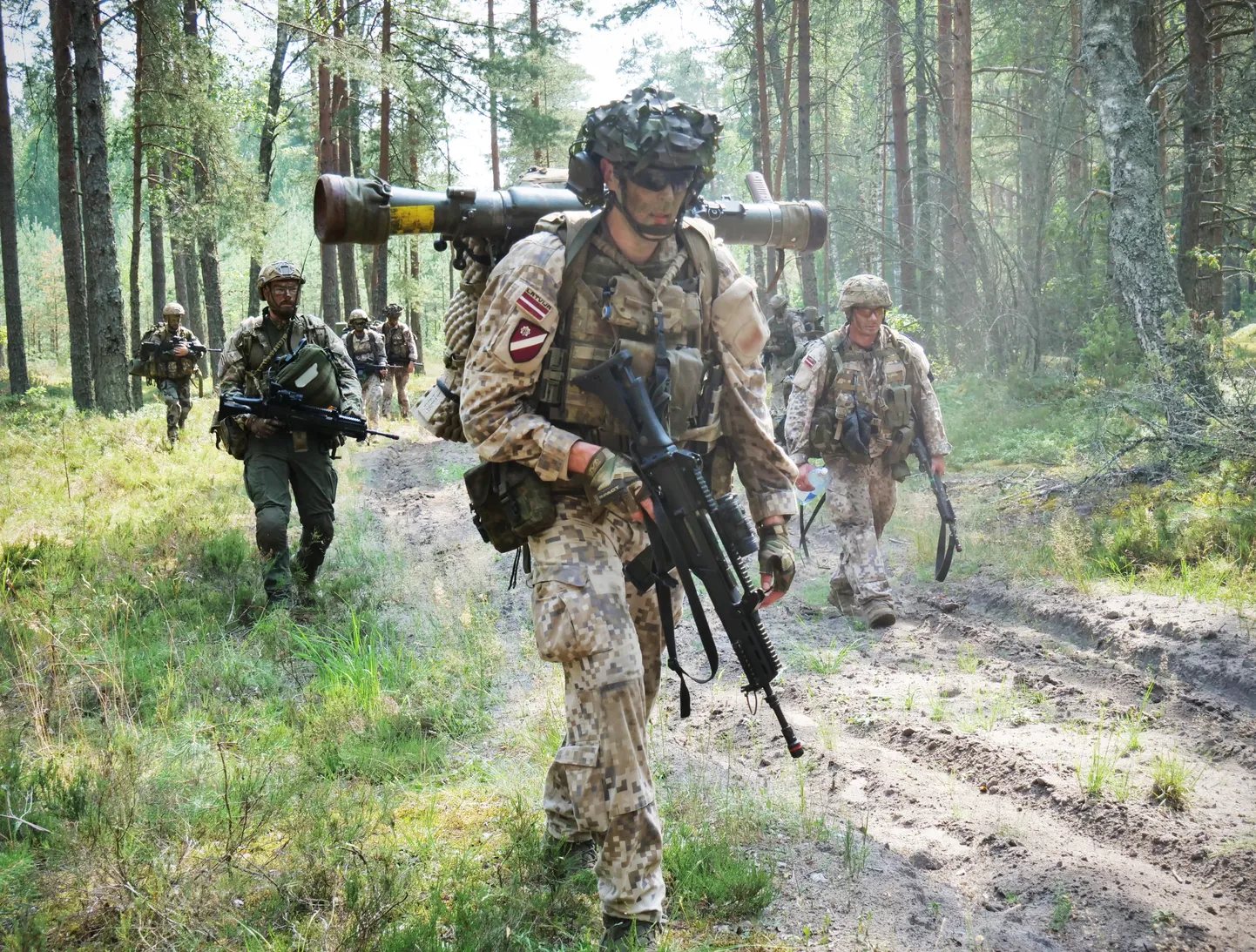 Земессарги. Иллюстративное фото