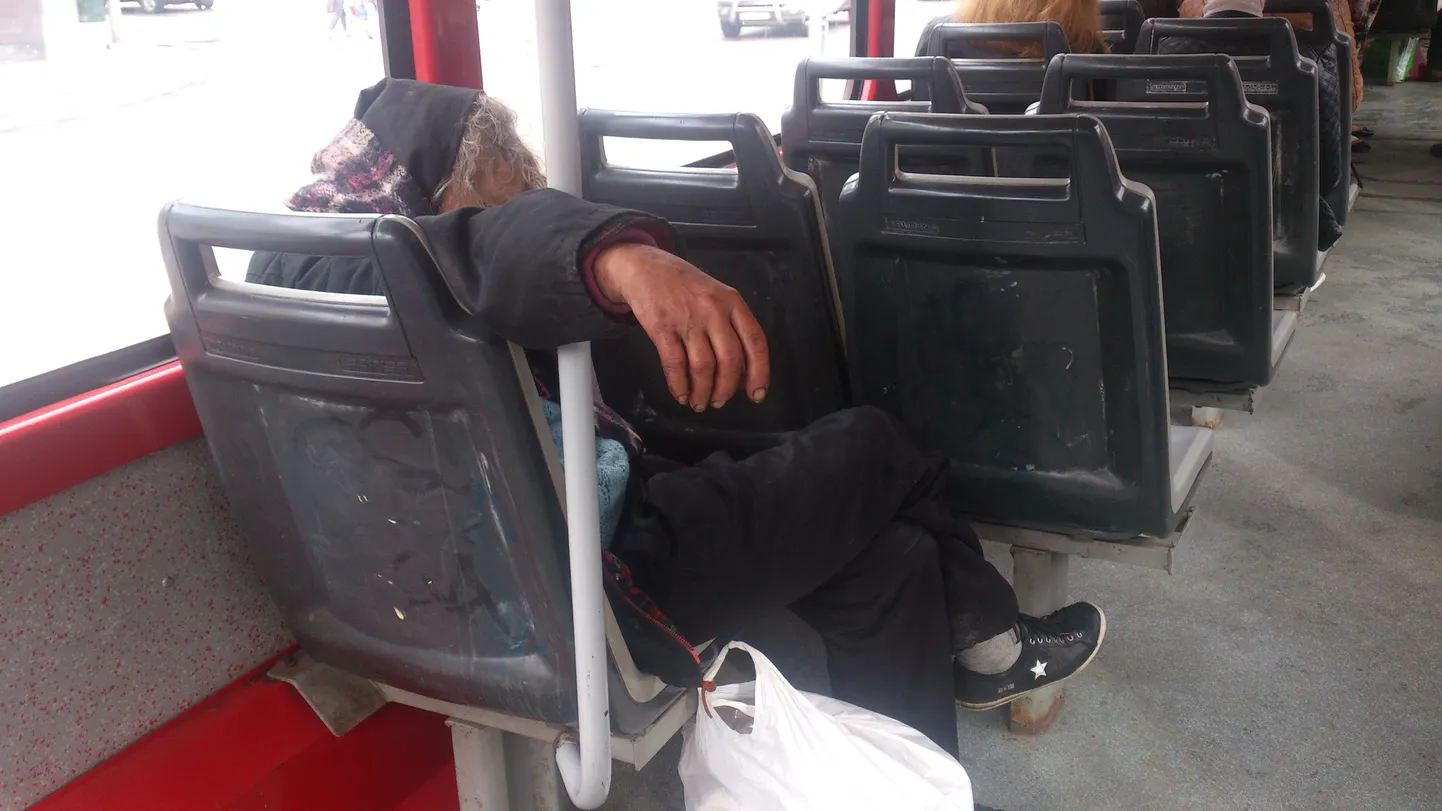 Eluheidik Kadrioru trammis.