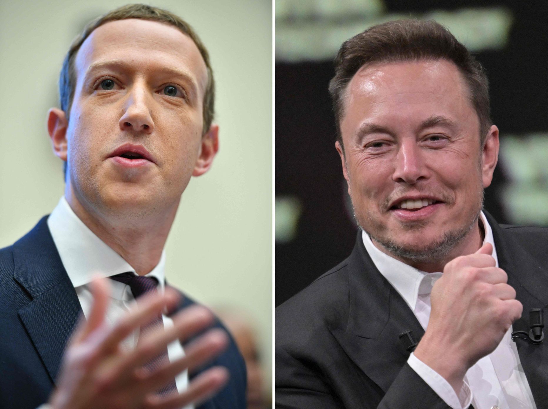 Mark Zukerberg versus Elon Musk.