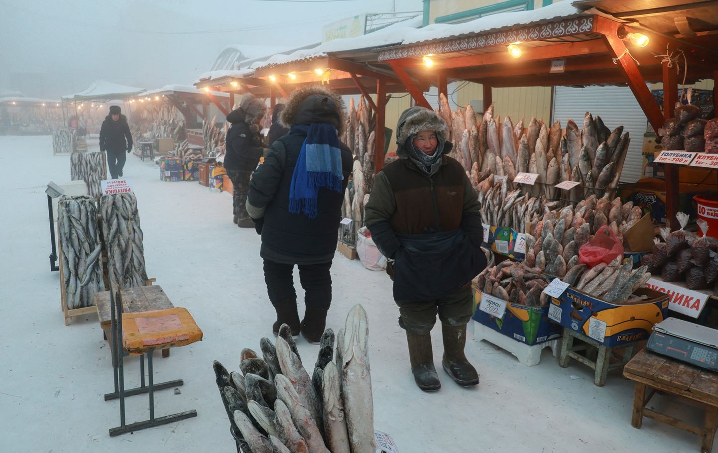 Егор Дьячковский продает замороженную рыбу на рынке Якутска.