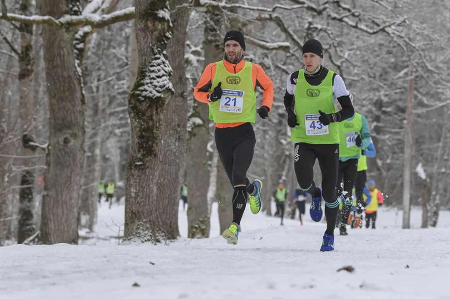 Vinni–Rakvere talvejooksusarja teise etapi võitis spordiklubi Jooksupartner ridadesse kuuluv Ilja Nikolajev (nr 21).