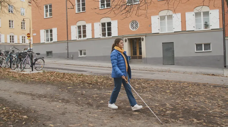 Koostöös Poola Pimedate Ühinguga loodi võtmerühm, kes aitas kaasa rakenduse arendusprotsessis.