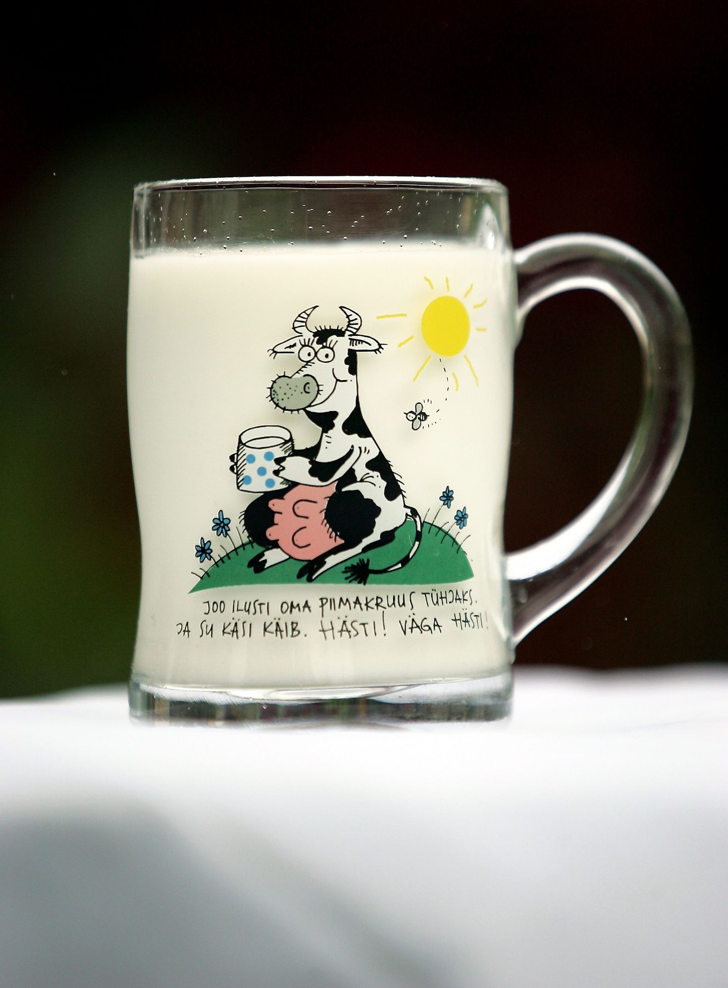 Piimatööstused tootsid mais 9100 tonni joogipiima.