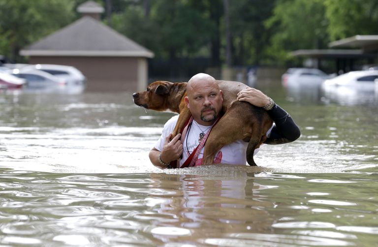 Louis Marquez kannab oma koera Dallast, kelle mees üleujutatud korterist päästis. Foto: AP