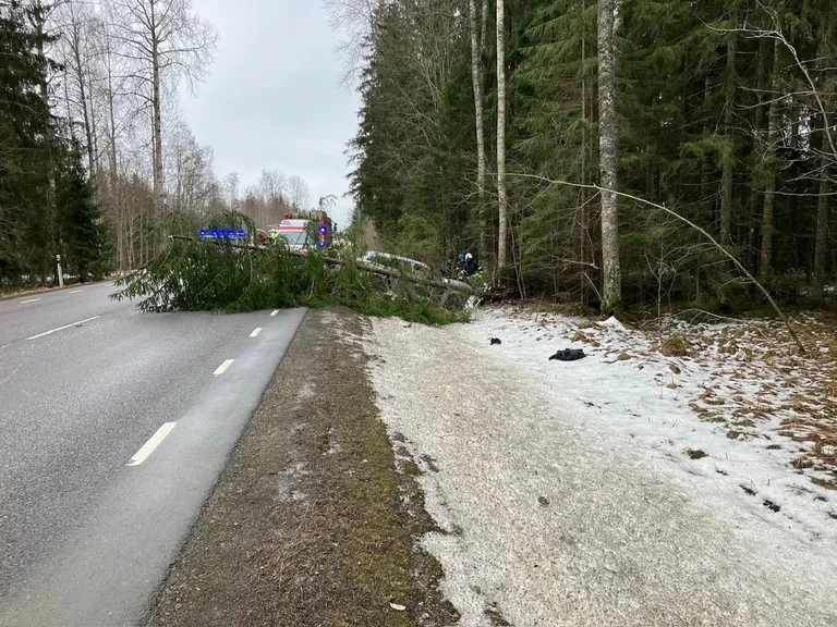 Teeolud õnnetuspaigal olid head, tegu oli asfaltkattega teega, mis oli kuiv.
