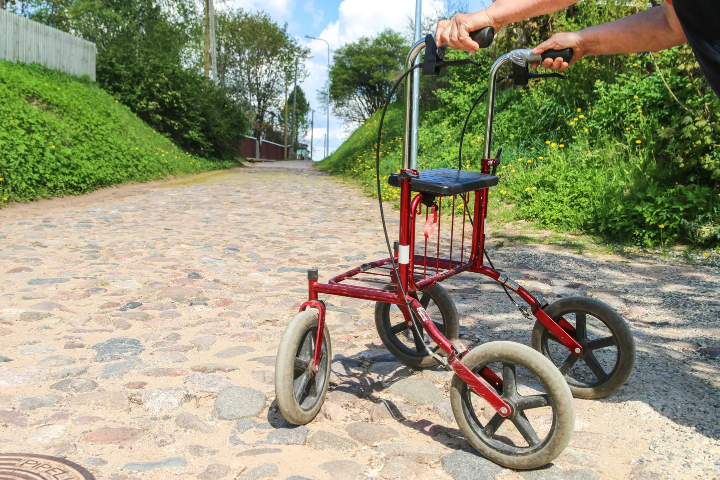SEGADUS TÕENDIGA «Mu ajukasvajaga ema peab selliste asjadega tegelema ...