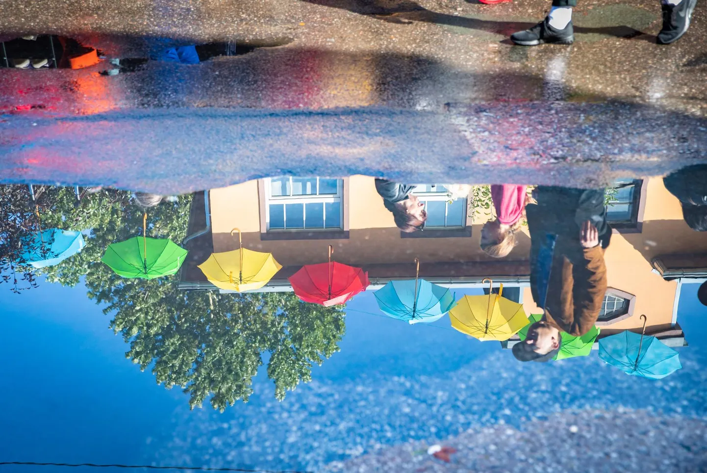 Rain Jungi läinudnädalane OÜ Paikre teemaline kirjutis viis mind mõttele, kas mitte autor ei ela alternatiivtõdede maailmas, kirjutab Meelis Kukk.