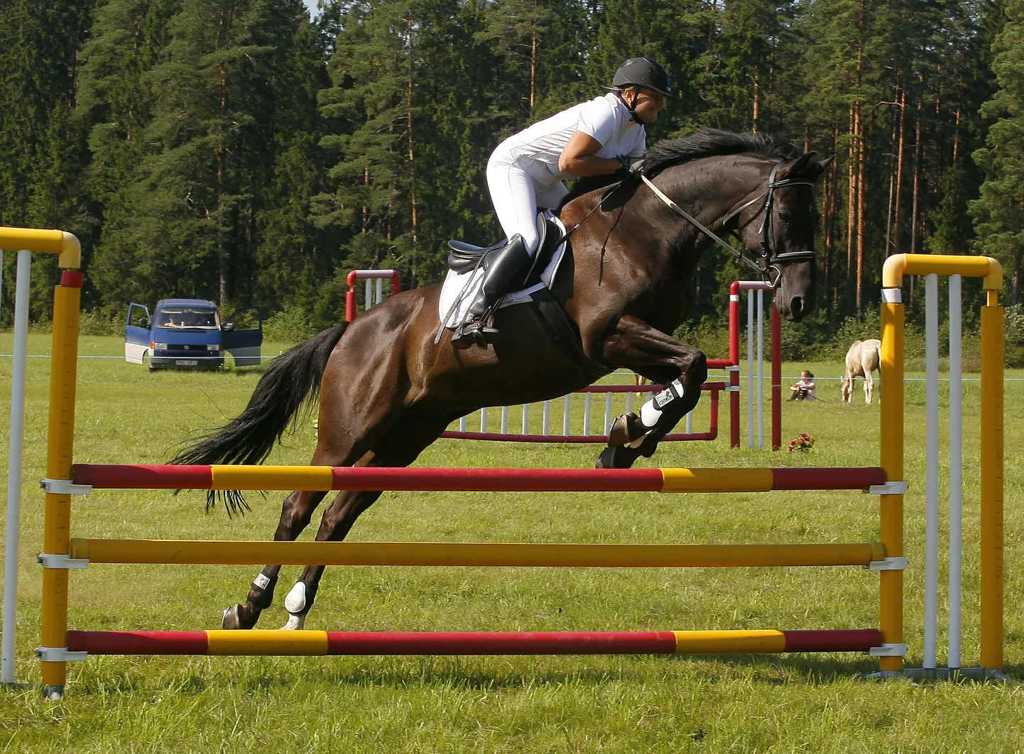 Toris toimus parimate Tori tõugu noorhobuste ülevaatus.