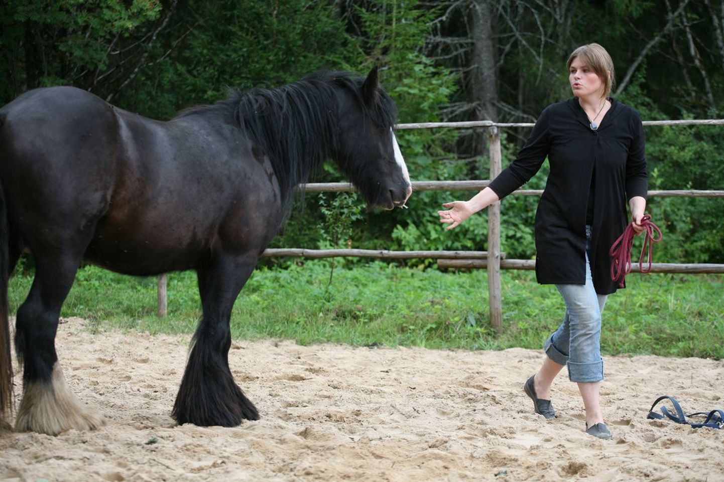 Hobused on nagu alluvad, kes ei kuuletu agressiivsele nõudmisele, vaid järgivad meie soove alles siis, kui suhtume neisse lugupidavalt ja enesekindlalt.