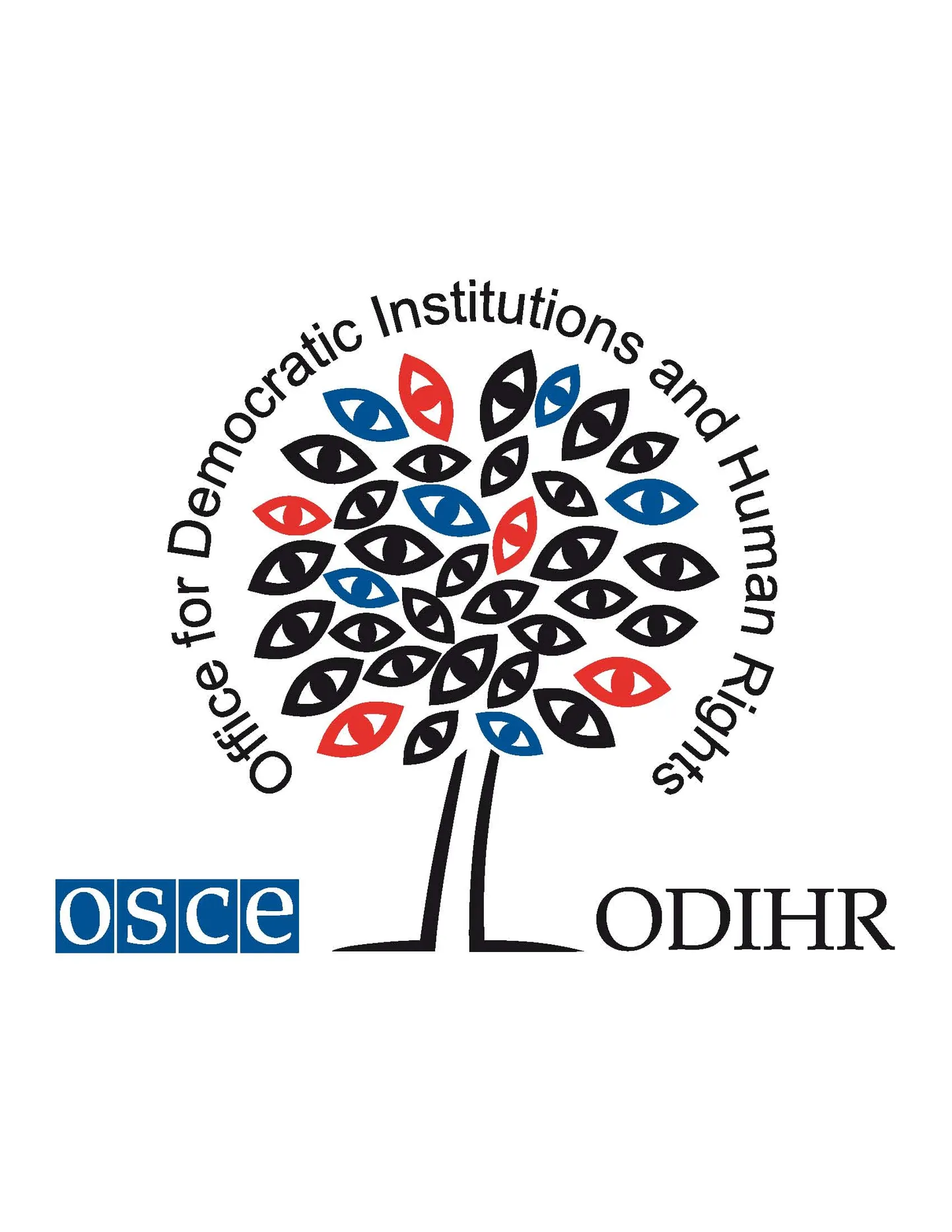 ODIHR on Euroopa Julgeoleku- ja Koostööorganisatsiooni (OSCE) demokraatlike institutsioonide ja inimõiguste büroo, mis aitab riikidel arendada demokraatlikke praktikaid ja kaitsta inimõigusi, käib vaatlemas valimisi ning nõustab valitsusi valimissüsteemide arendamisel.