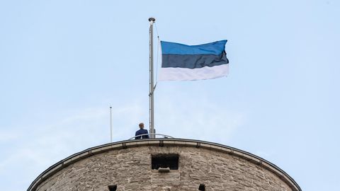 Riik muutis lastekaitsepäeva lipupäevaks
