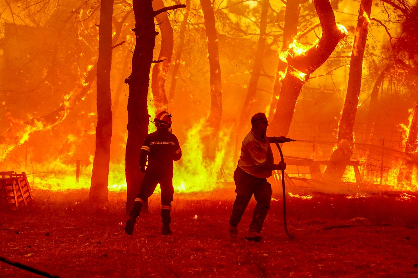 Tuletõrjujad püüavad kustutada metsatulekahju Vatera rannakuurordi lähedal Lesbose saarel,