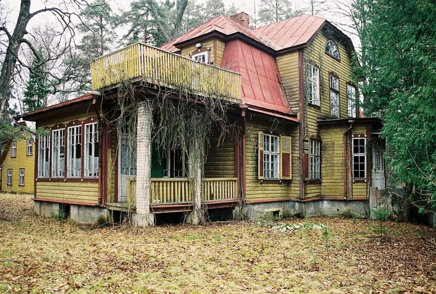 Фото статьи