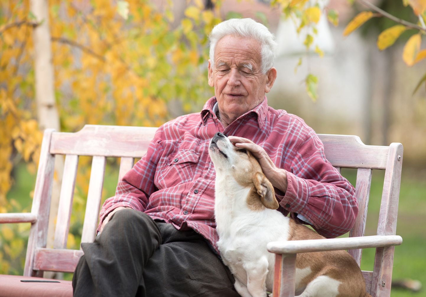 Пожилой мужчина с собакой. Иллюстративное фото.