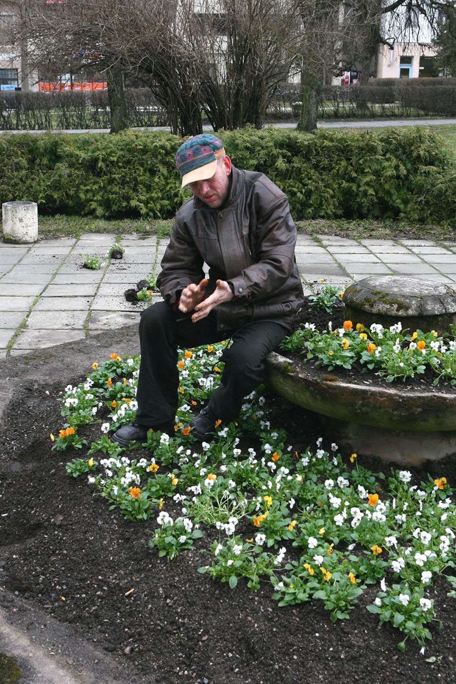 Pärast lillepeenras laamendamist võttis mees lillede keskel istet ja poseeris fotograafile.