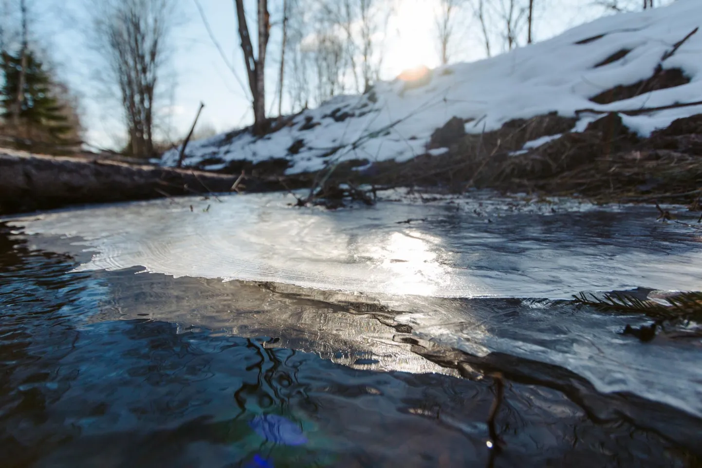 Õhuke jää veekogudel.