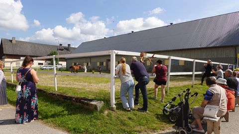 Kolledžis esitleti raskeveohobuseid