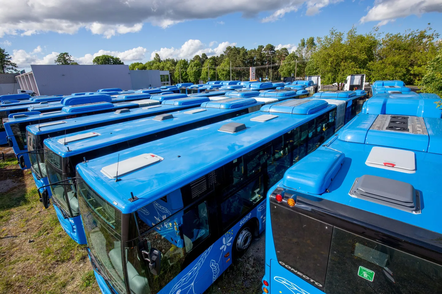Pärnu linnaliinibussid.