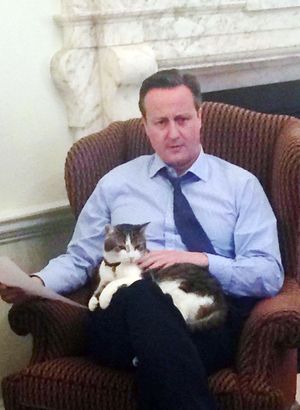 Дэвид Кэмерон с котом Ларри.