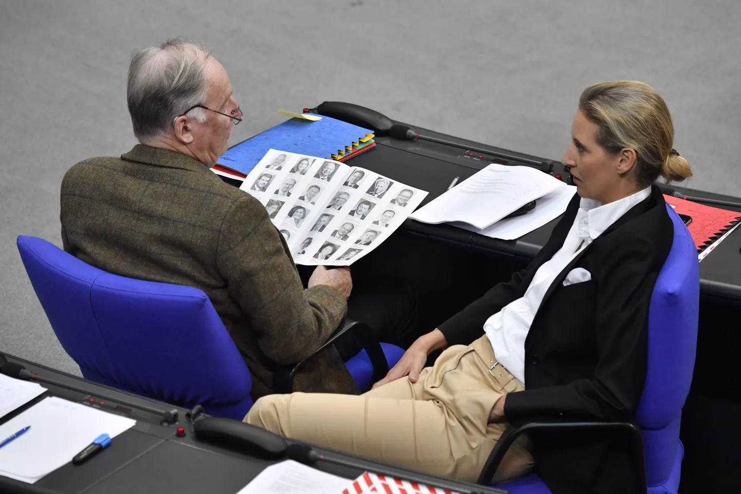 AfD liidrid Alexander Gauland ja Alice Weidel.
