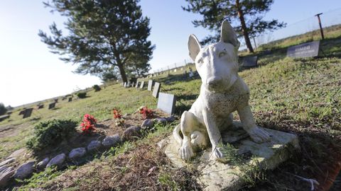 Tartu linnal pole kavaski rajada lemmikloomade kalmistut