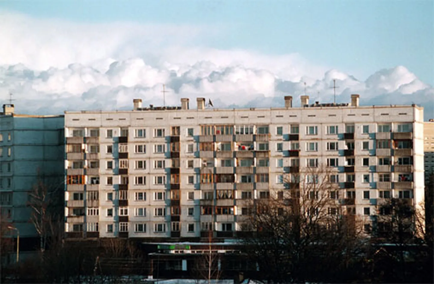 Raksta foto