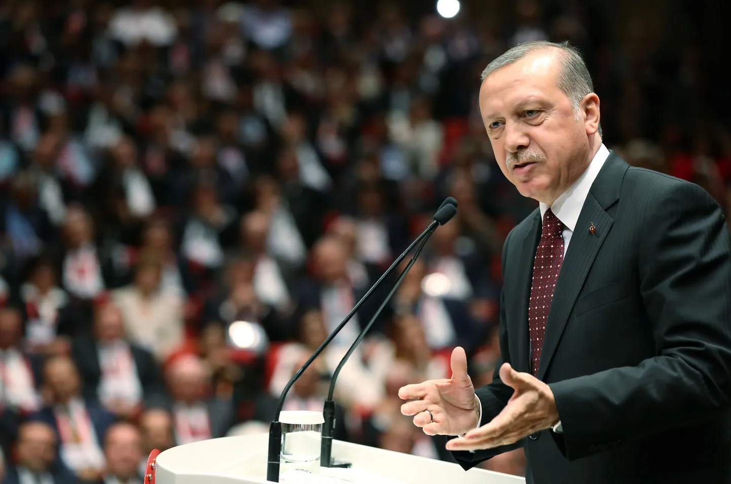 Artikli foto