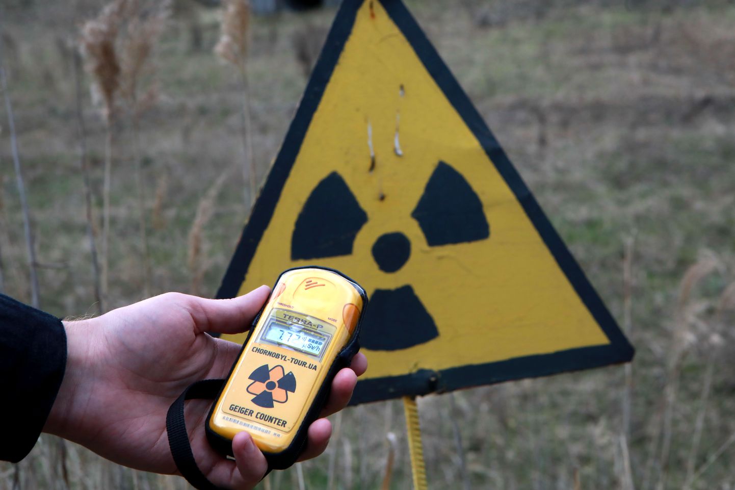Cilvēks tur radiācijas dozimetru pie Sarkanā meža, Kijevas apgabalā, Ukrainas ziemeļos.