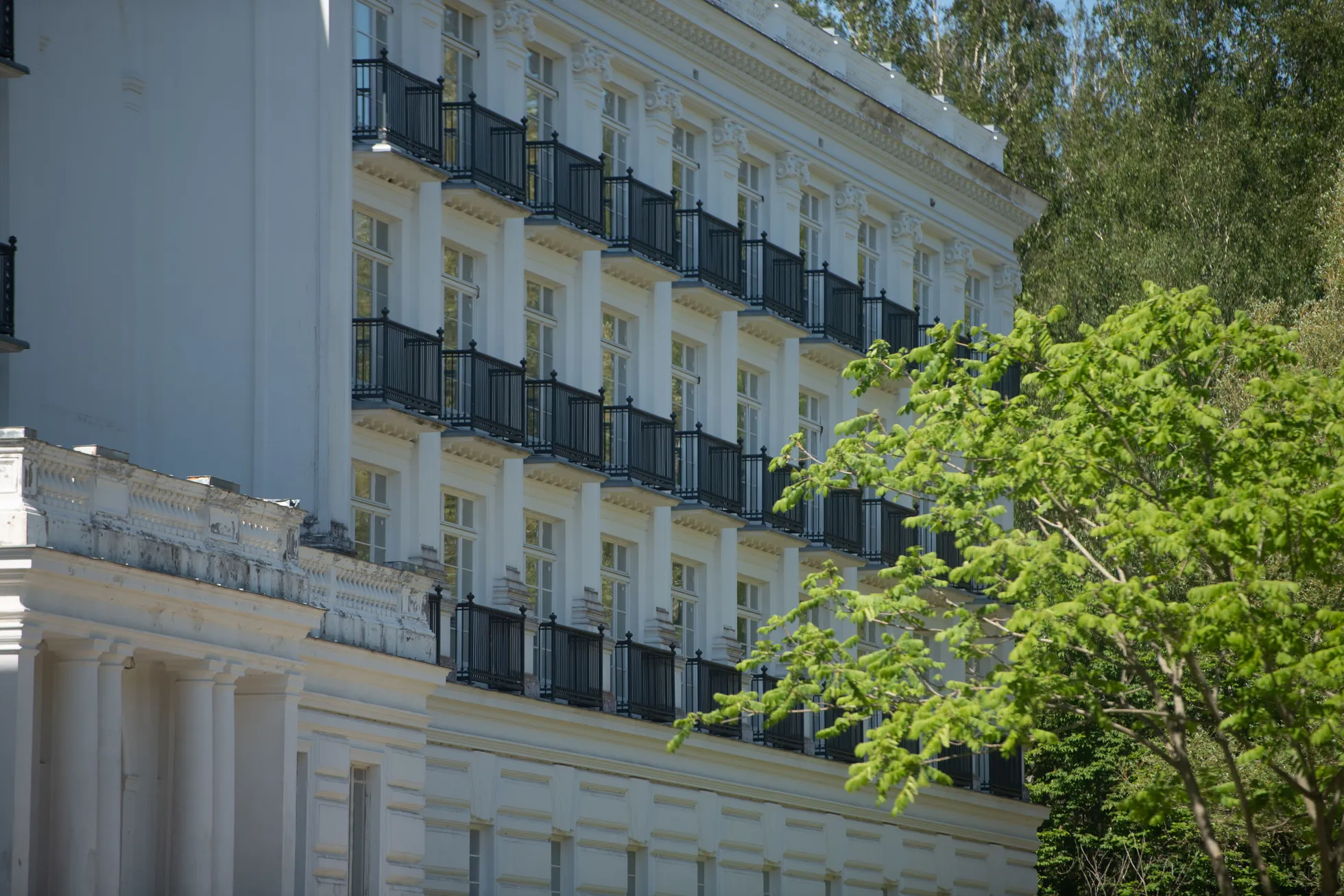 Фото статьи