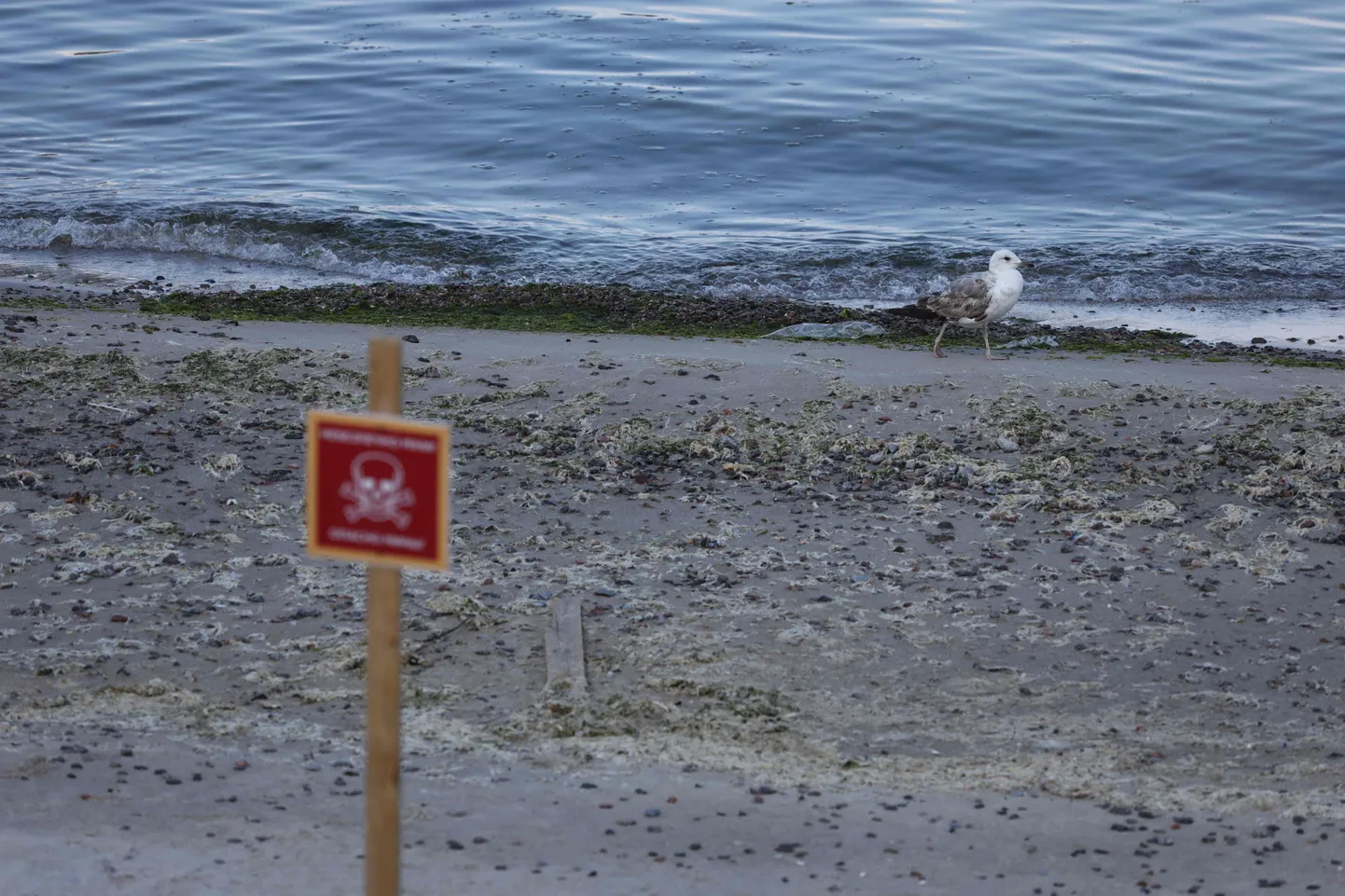 Miinide eest hoiatav silt Odessa rannas.