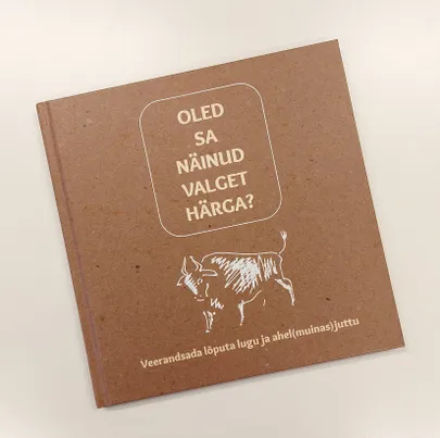 Lõputa lugude ja ahel(muinas)juttude raamat.
