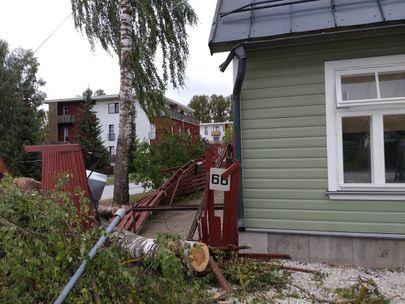 На улице Уюла упавшая береза сломала забор и поцарапала угол крыши дома.